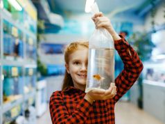40 espèces de poissons d’aquarium d’eau douce espèces de poissons d'eau douce