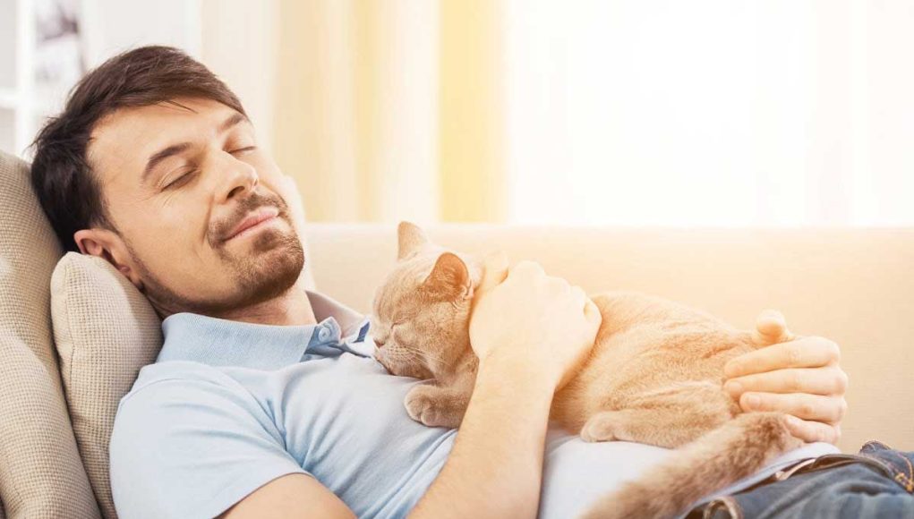 chat vous protègent pendant que vous dormez