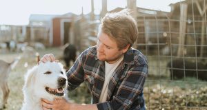 Comment protéger au mieux nos animaux de compagnie ? protéger au mieux nos animaux de compagnie