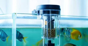 Astuces d’experts : Nourrissez vos poissons à distance grâce au Wi-Fi !