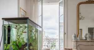 Chauffage pour aquarium : conseils complets et astuces pour une eau toujours idéale