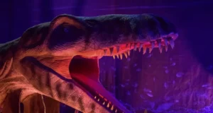 Kimmeridge : le monstre marin du Guinness des Records enfin révélé !