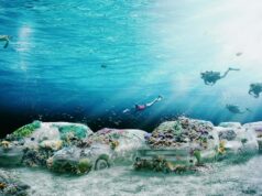 22 voitures coulées au large de Miami : l’art devient un refuge pour les coraux