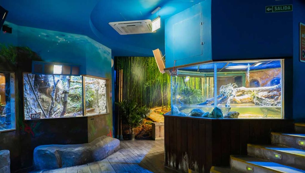 nettoyer votre aquarium avec du vinaigre