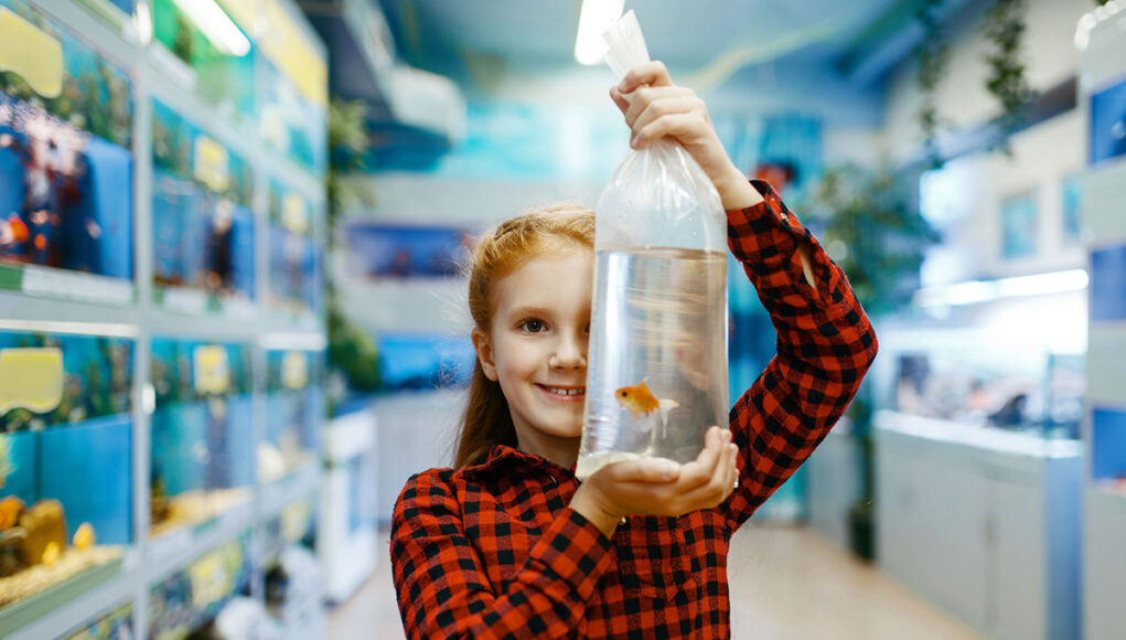 espèces de poissons d'eau douce