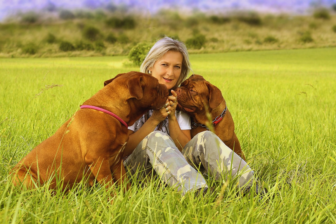 femmes âgées meilleures santé avec chien