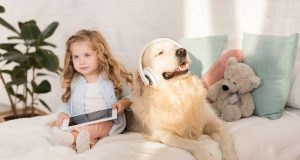 Quelles races de chiens idéales pour les familles avec des enfants ? races de chiens idéales pour les familles avec des enfants