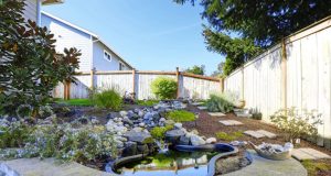 Comment créer un bassin de jardin ? créer un bassin de jardin