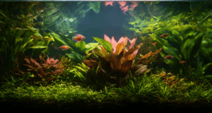 Quel éclairage choisir pour votre aquarium ? Découvrez nos astuces !