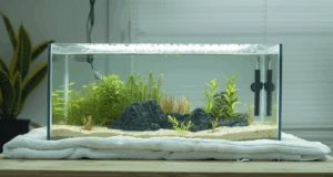 Réparer votre aquarium qui fuit : guide complet et pratique !
