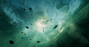 Des robots comestibles pour surveiller les eaux : l’incroyable invention de l’EPFL