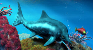 Un monstre marin géant découvert au Royaume-Uni : Ichthyotitan severnensis bat tous les records !