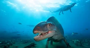 Maroc : un reptile marin préhistorique découvert en 2025