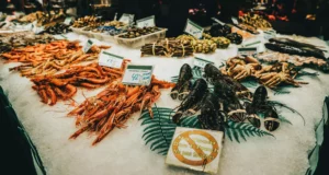 Stop à la vente vivante des animaux marins : révélations sur une exploitation qui fait réagir la France