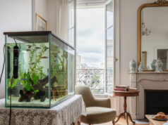 Chauffage pour aquarium : conseils complets et astuces pour une eau toujours idéale