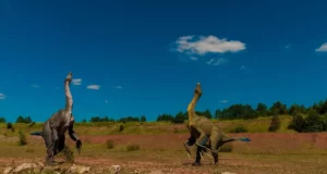 Le long cou du Tanystropheus : une arme fatale… pour lui-même ?