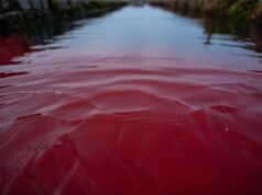 Eaux rouges dans la Bourbre : mystère et mobilisation autour d’une alerte écologique