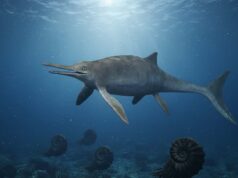 Un « dragon épée » du Jurassique découvert : Xiphodracon, le prédateur qui bouleverse l’histoire des océans