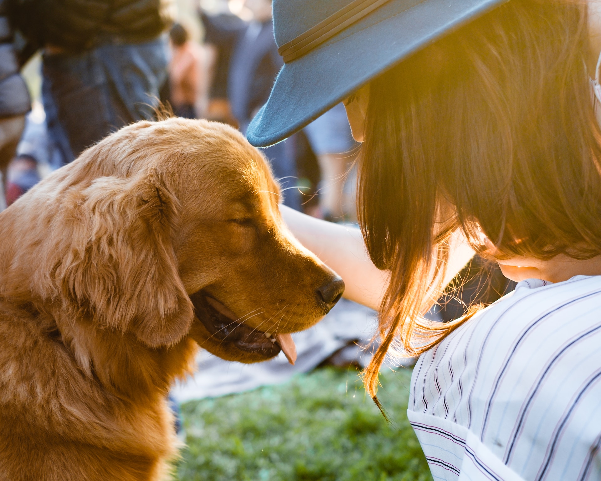 chien et femme