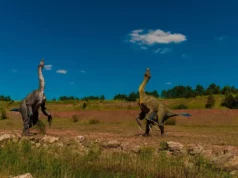 Le long cou du Tanystropheus : une arme fatale… pour lui-même ?