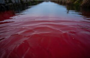 Eaux rouges dans la Bourbre : mystère et mobilisation autour d’une alerte écologique