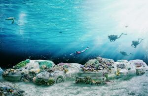 22 voitures coulées au large de Miami : l’art devient un refuge pour les coraux